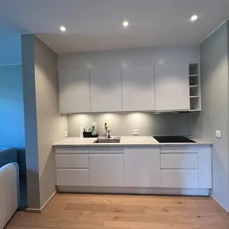 公寓 2-bedroom Apt - Modern In Ost